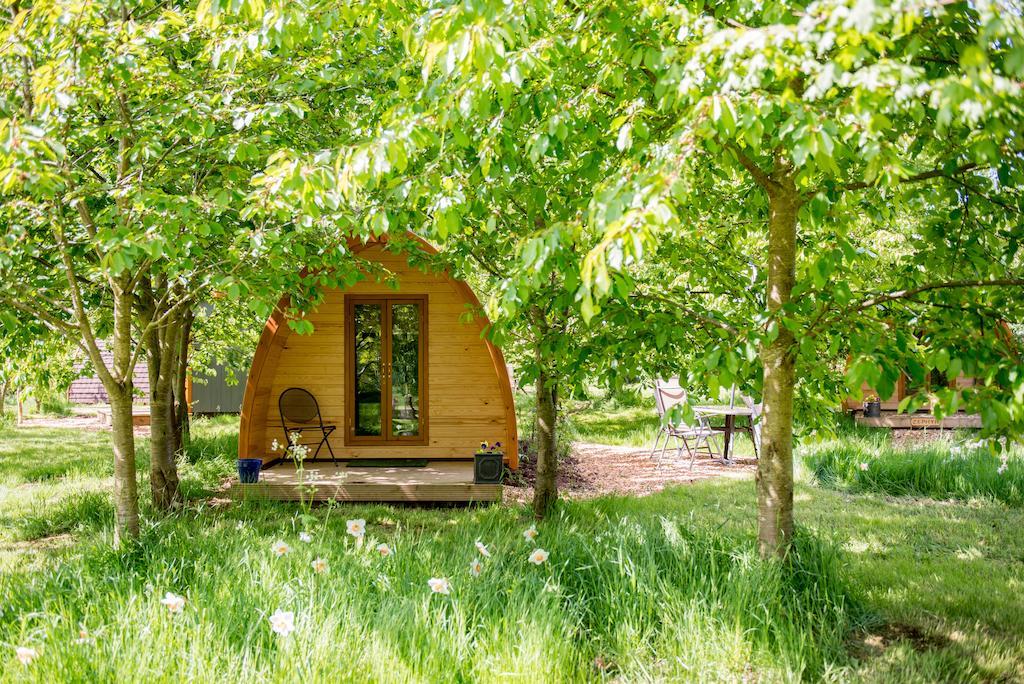 Pensjonat Wootton Park Wootton Wawen Pokój zdjęcie